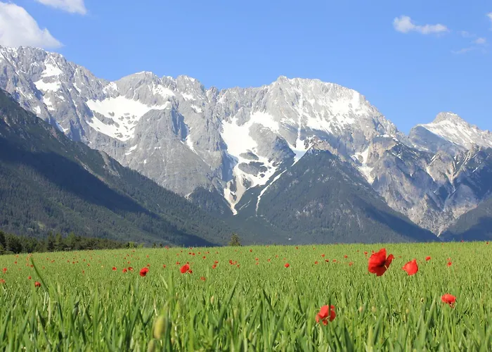Haus Schweigl 住宿加早餐酒店 奥布施泰希