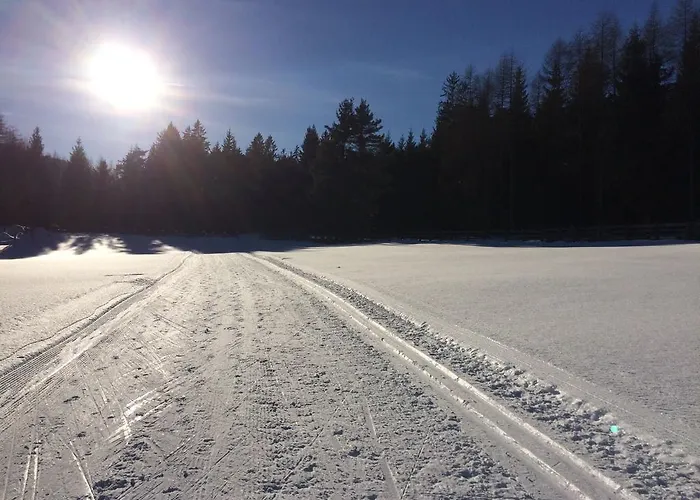 Haus Schweigl 住宿加早餐酒店 3*