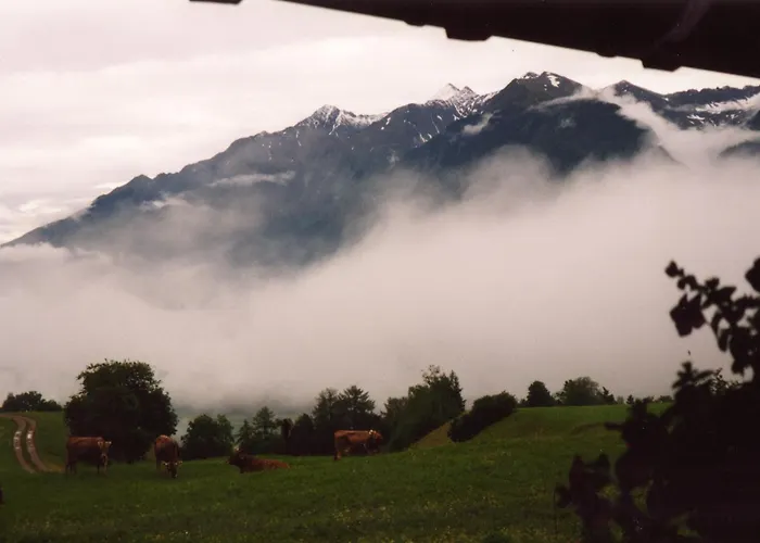 Haus Schweigl Frühstückspension 3*